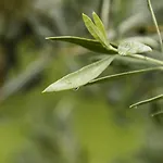 L'essiccatoio Landhaus Lisciano Niccone