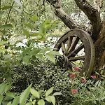 Agriturismo L'Essiccatoio