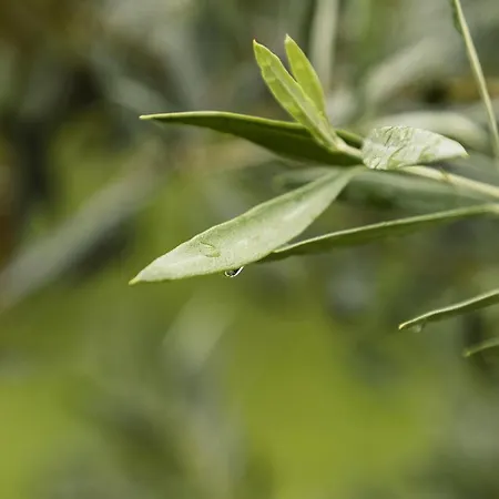 L'essiccatoio Landsted Lisciano Niccone