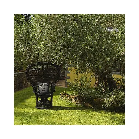 L'essiccatoio Landhuis *