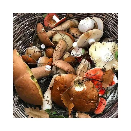 L'essiccatoio * Lisciano Niccone