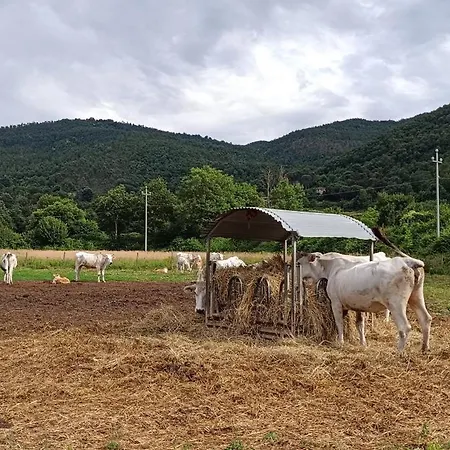 Agriturismo L'Essiccatoio *