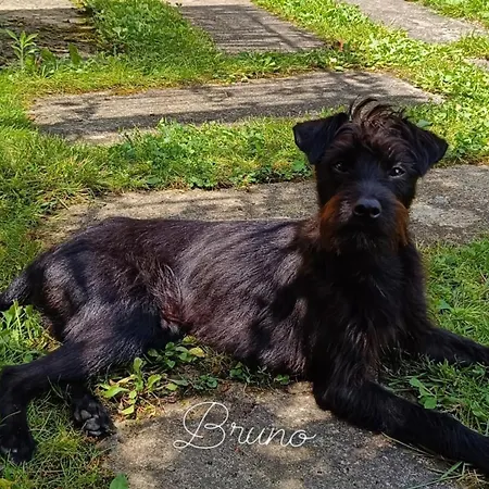 L'essiccatoio Lisciano Niccone