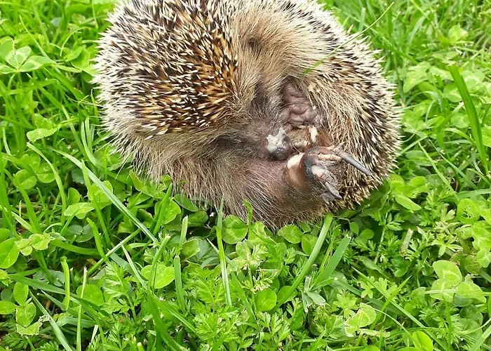 Agriturismo L'Essiccatoio *