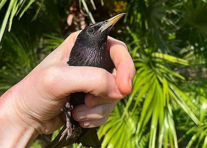 Agriturismo L'Essiccatoio Lisciano Niccone