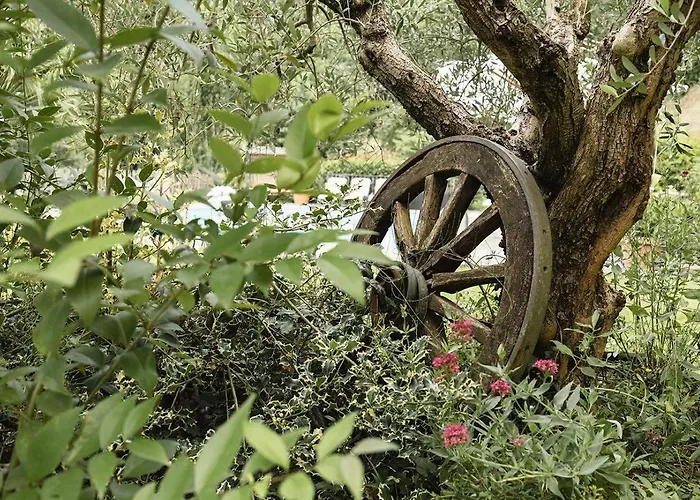 Agriturismo L'Essiccatoio