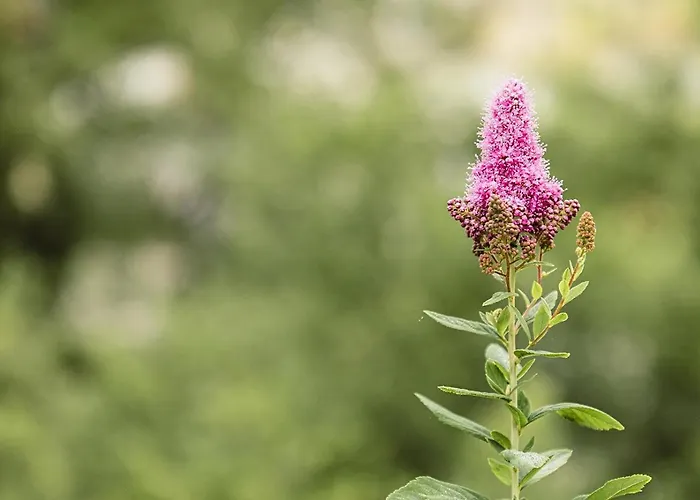 Country house Agriturismo L'Essiccatoio *