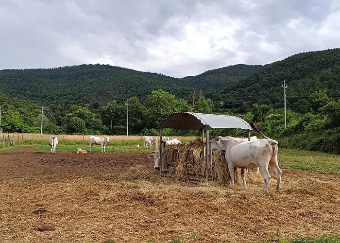 Agriturismo L'Essiccatoio *