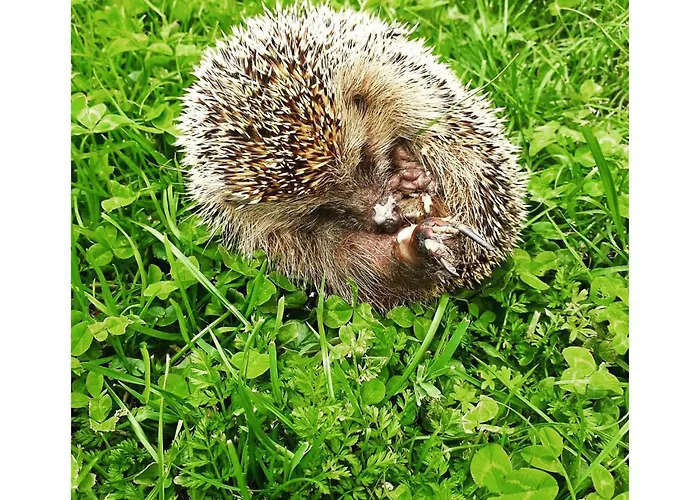 Agriturismo L'Essiccatoio