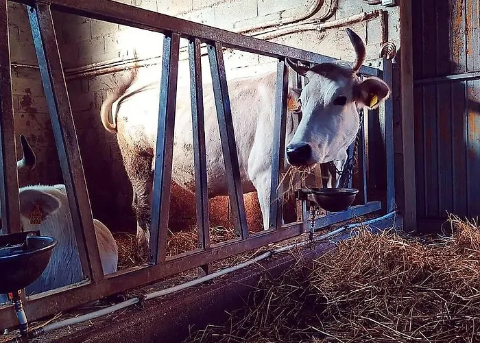 Country house Agriturismo L'Essiccatoio Lisciano Niccone