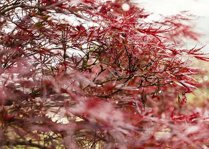 Agriturismo L'Essiccatoio *