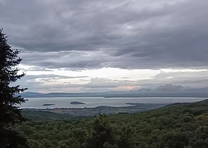 Agriturismo L'Essiccatoio Lisciano Niccone